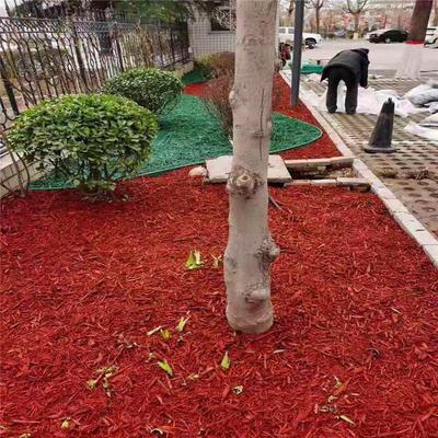 綠化工程有機覆蓋物 染色樹皮的應用與優勢