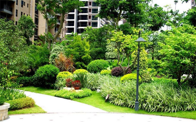 貴陽推進(jìn)立體空間綠化二期工程 打造空中綠廊與特色景觀