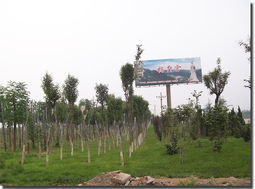 河北邯鄲綠德金園林綠化工程公司 專業鑄就綠色風景，匠心打造河北園林精品